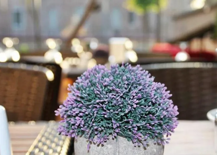 Siesta 3* イスタンブール